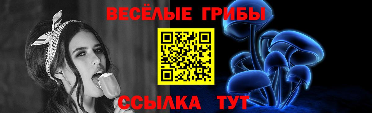 Гусиноозёрск  Псилоцибиновые грибы MAGIC MUSHROOMS  купить  цена  Вход с VPN  Галлюциногенные грибы Psilocybe 